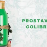 prostavive colibrim