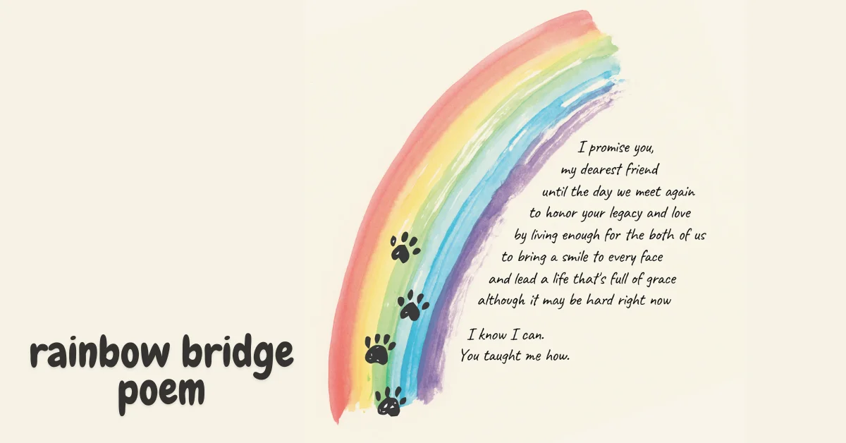 rainbow bridge poem