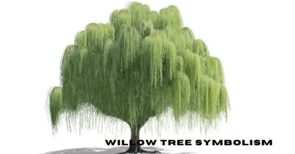 willow tree symbolism